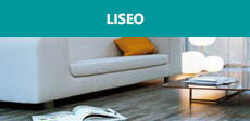 Liseo